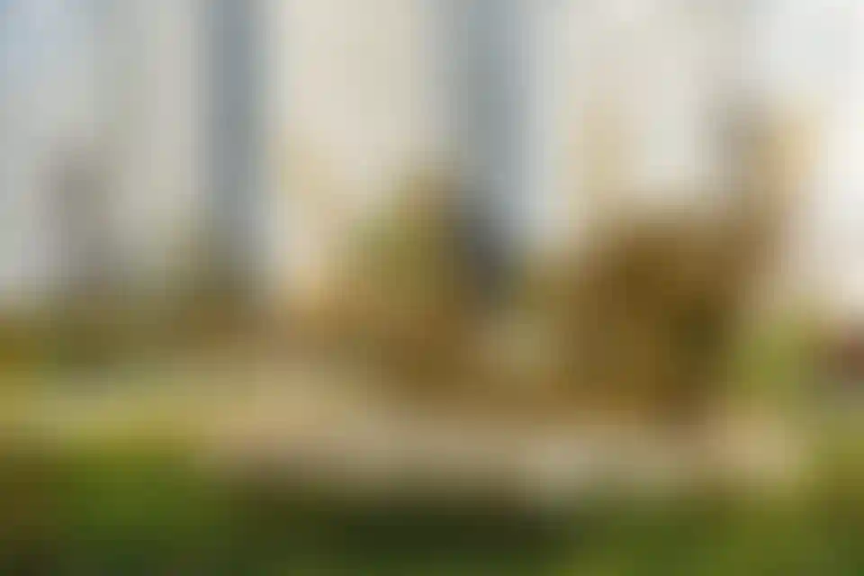 Изображение проекта