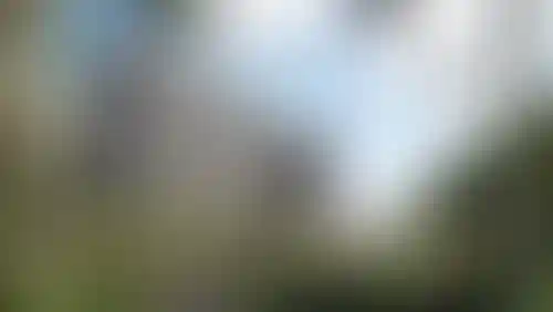 Изображение проекта