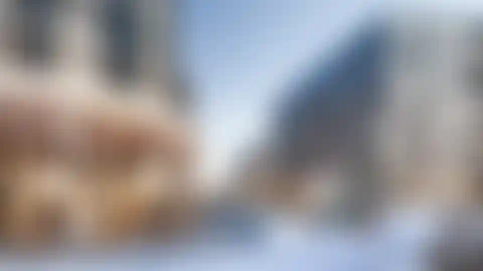 Изображение проекта