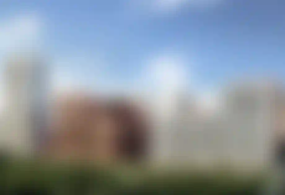 Изображение проекта