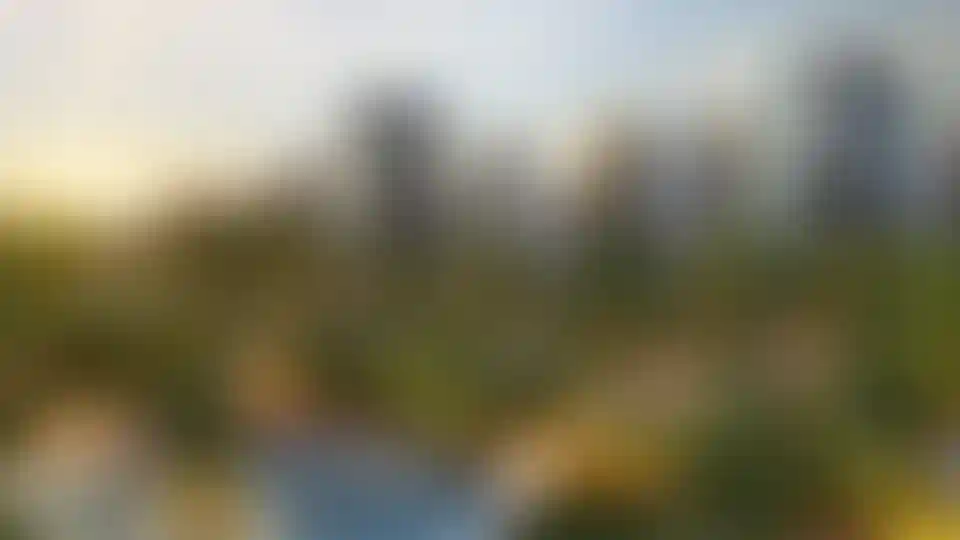 Изображение проекта