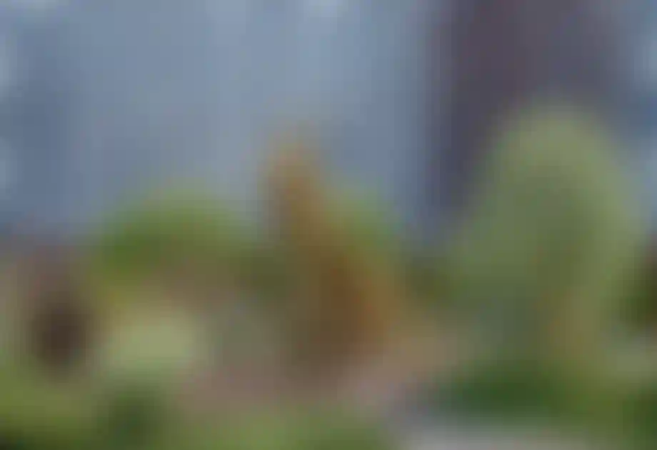 Изображение проекта