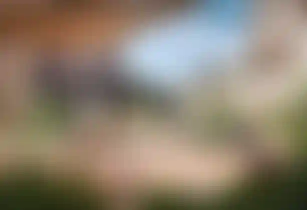 Изображение проекта