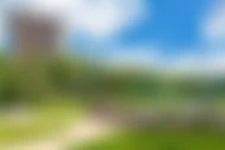 Изображение проекта