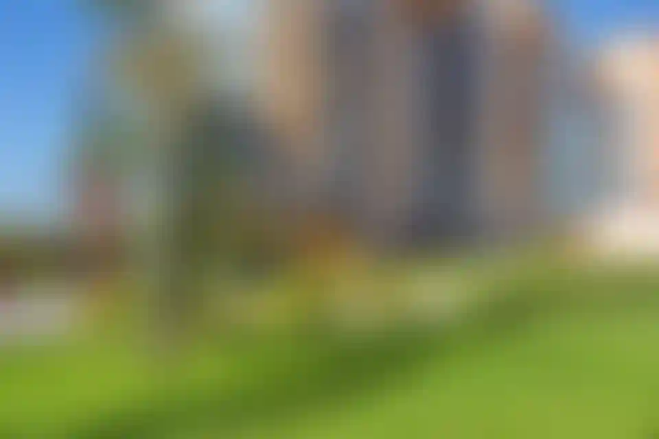 Изображение проекта