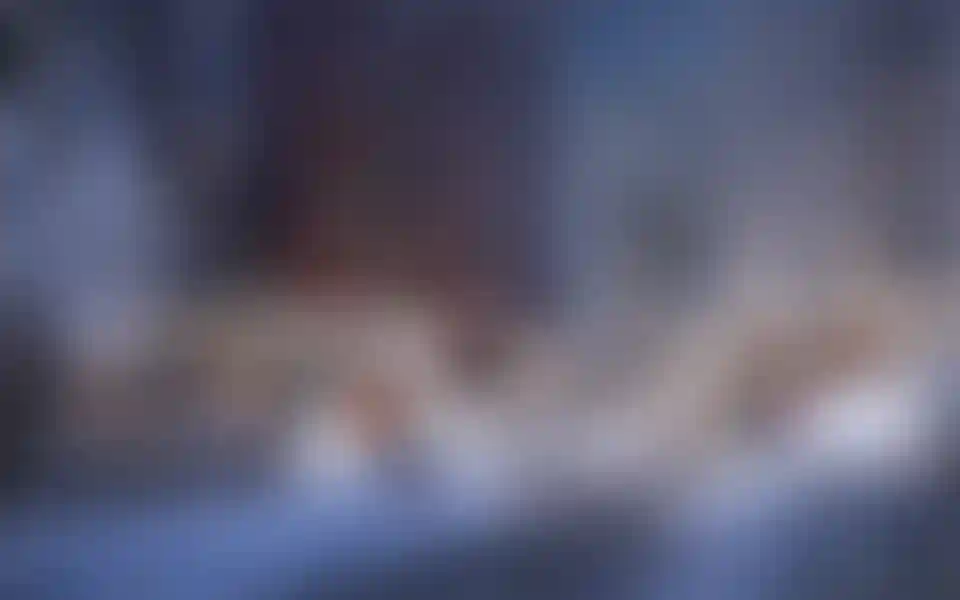 Изображение проекта