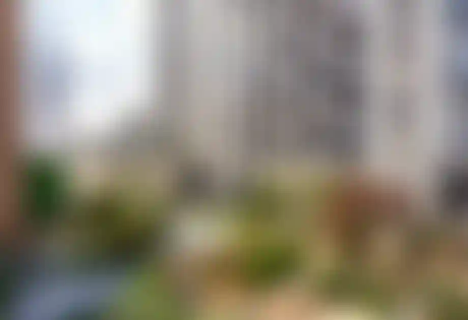 Изображение проекта