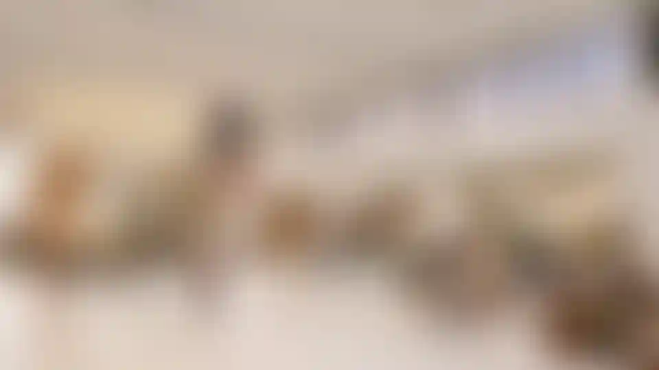 Изображение проекта