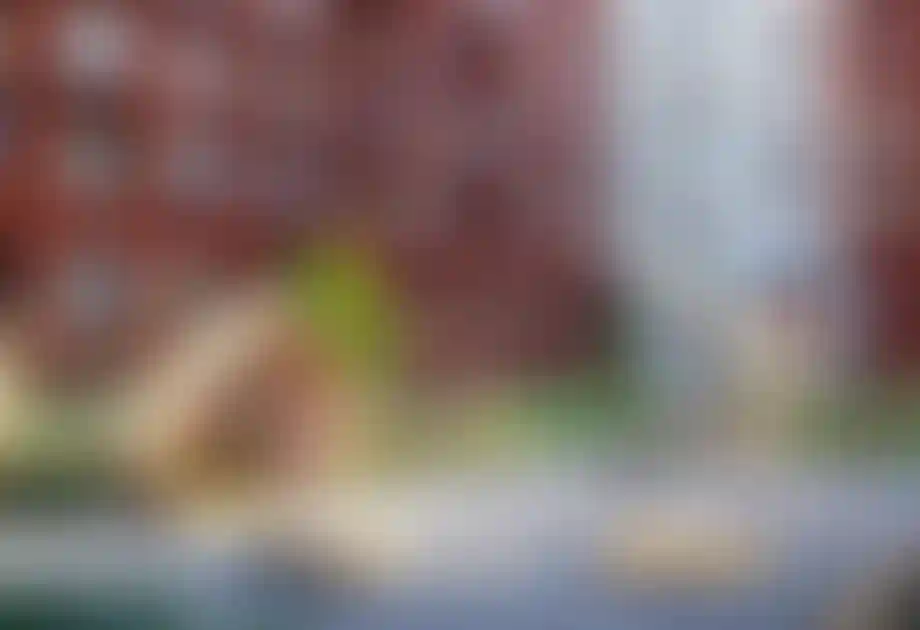 Изображение проекта