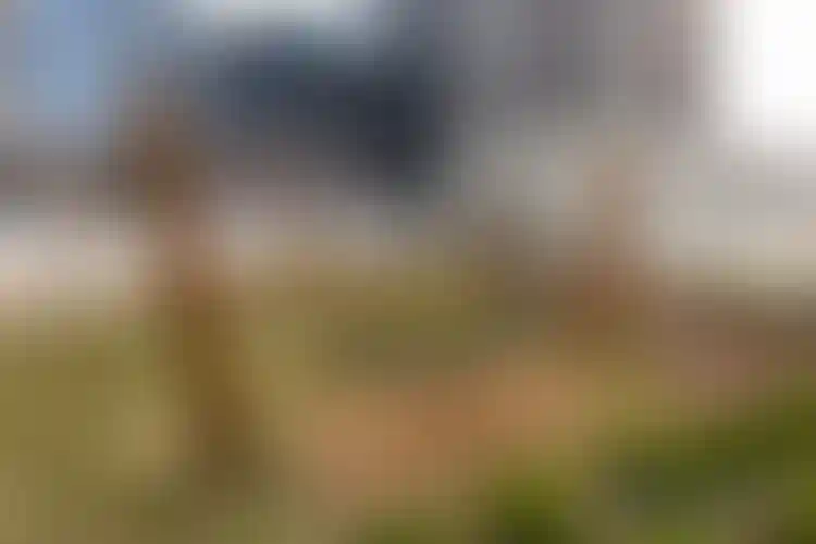 Изображение галереи