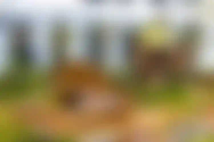 Изображение галереи