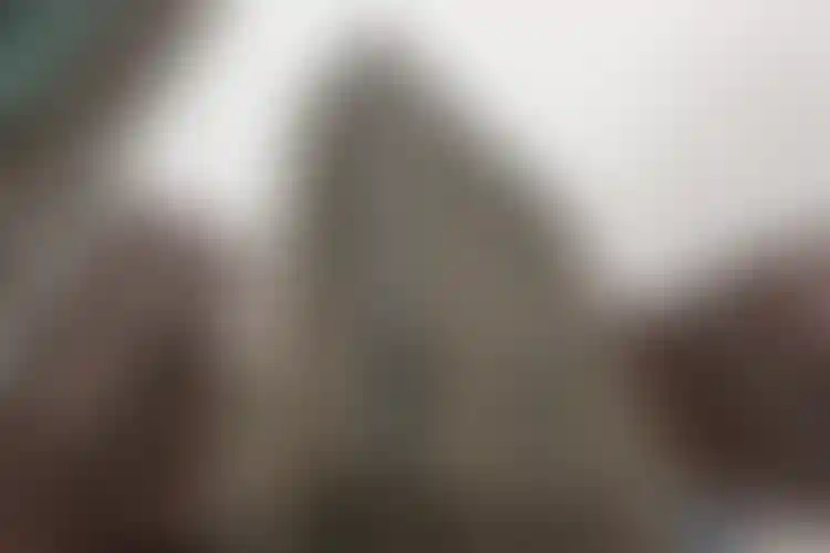 Изображение галереи