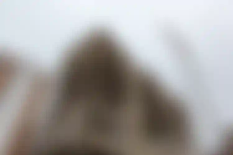 Изображение галереи