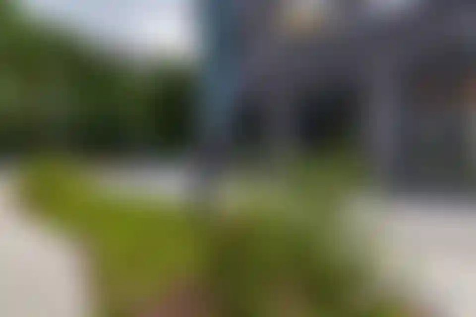 Изображение галереи