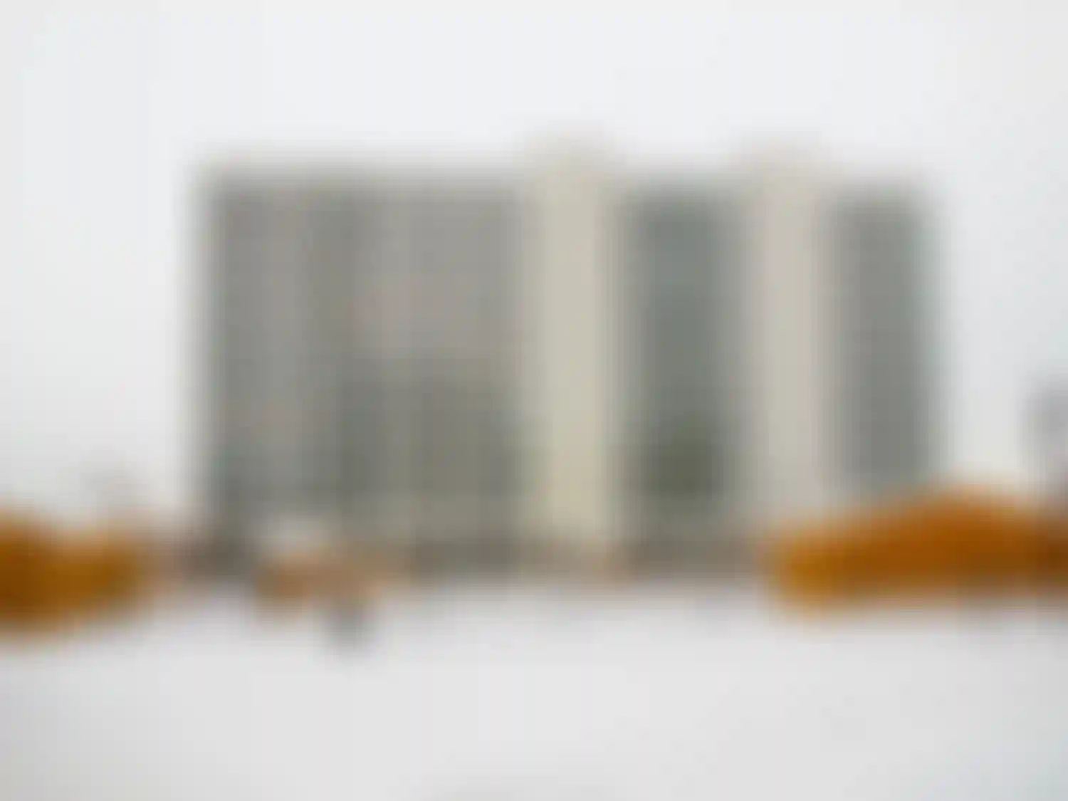 Изображение галереи