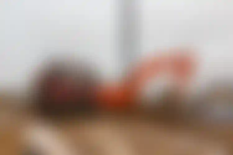 Изображение галереи