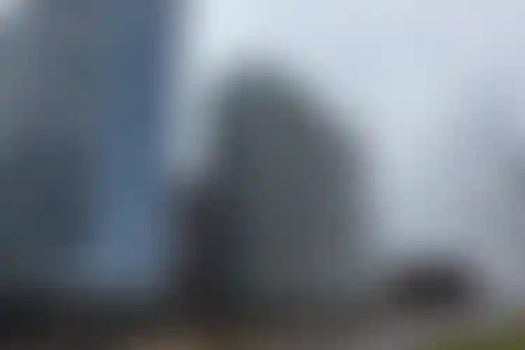 Изображение галереи