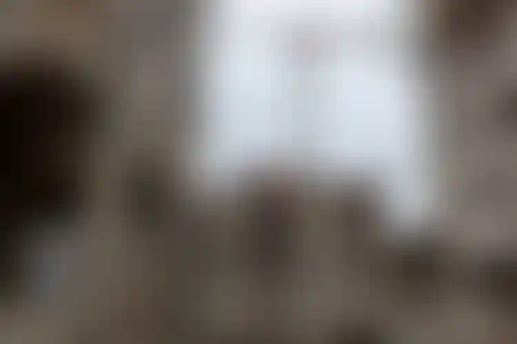 Изображение галереи