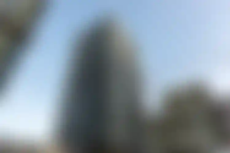 Изображение галереи