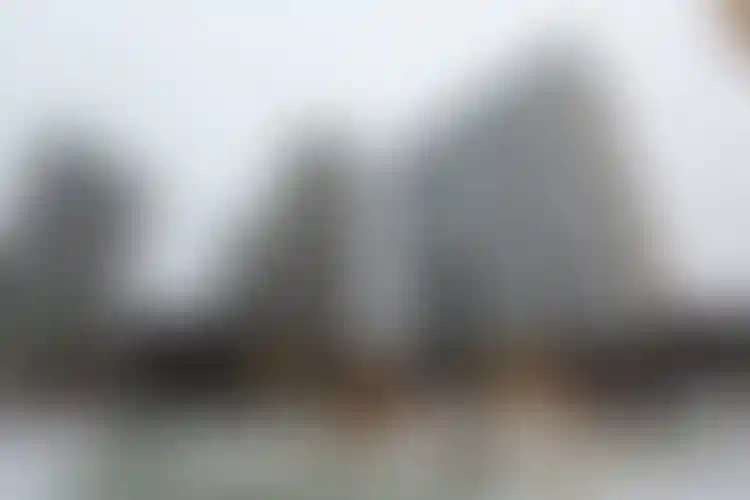 Изображение галереи