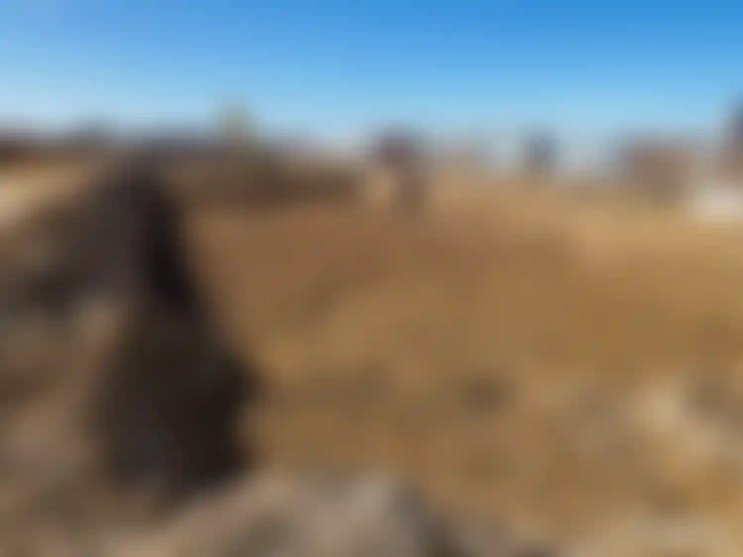 Изображение галереи