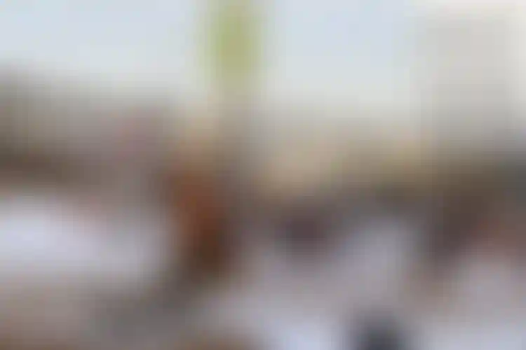 Изображение галереи