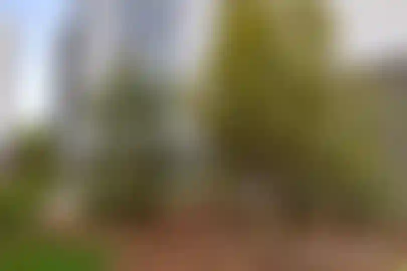 Изображение галереи