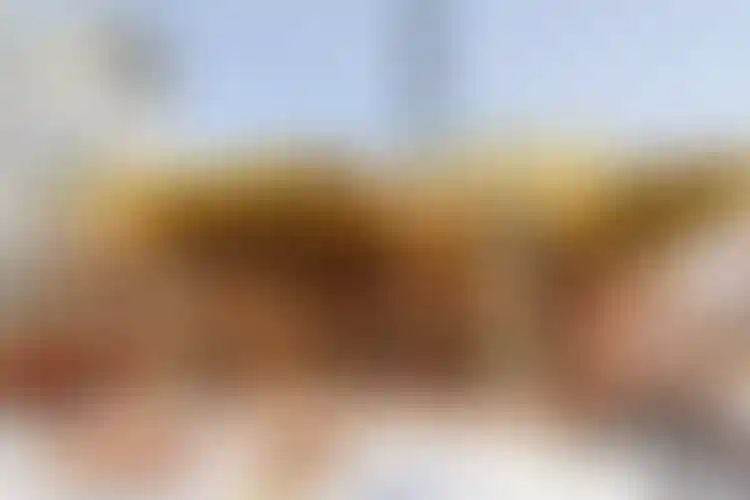 Изображение галереи