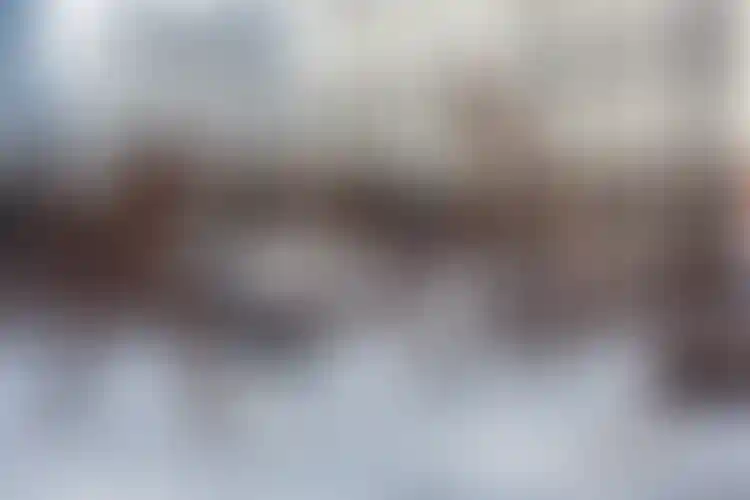 Изображение галереи