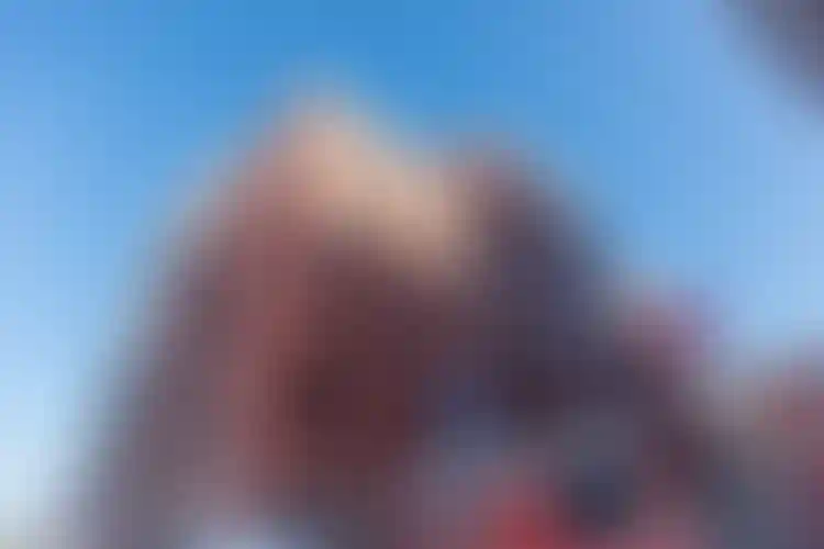 Изображение галереи