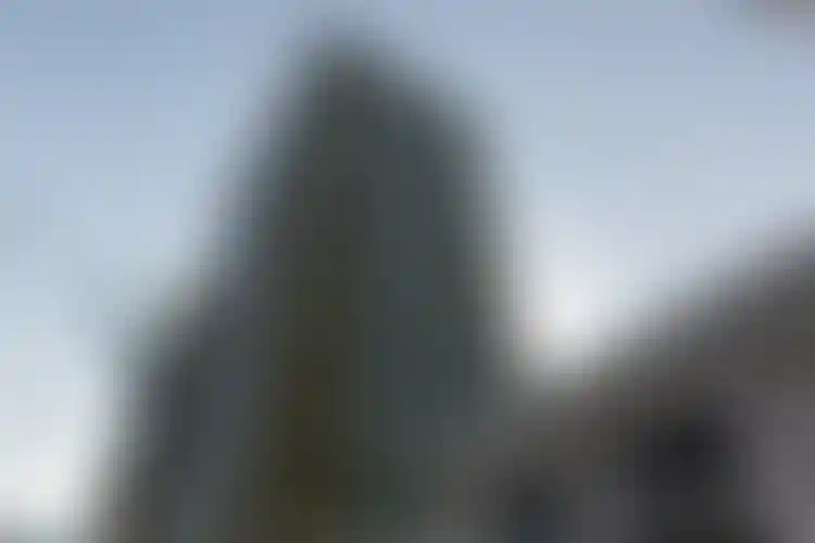 Изображение галереи