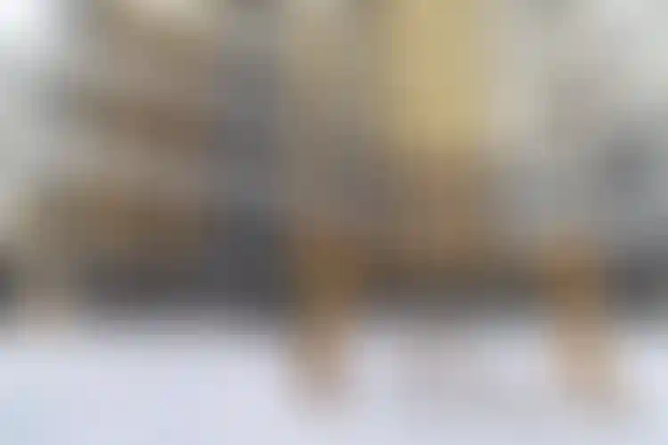 Изображение галереи