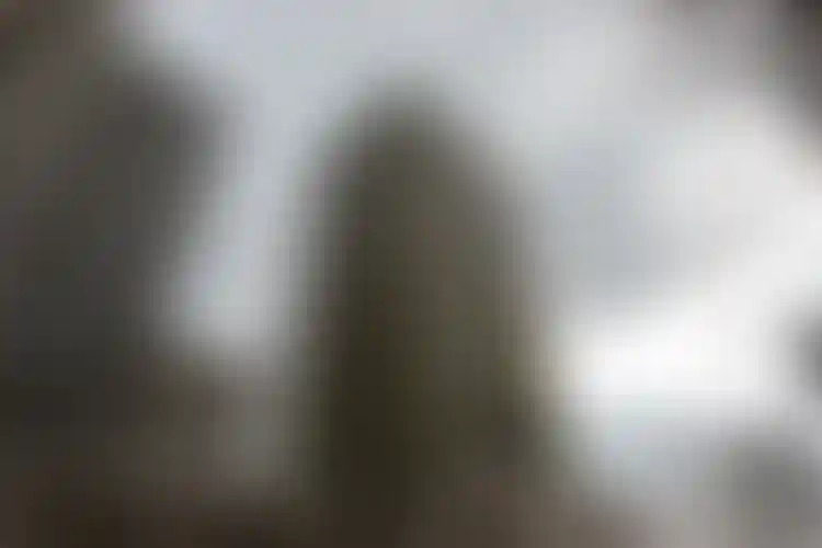 Изображение галереи