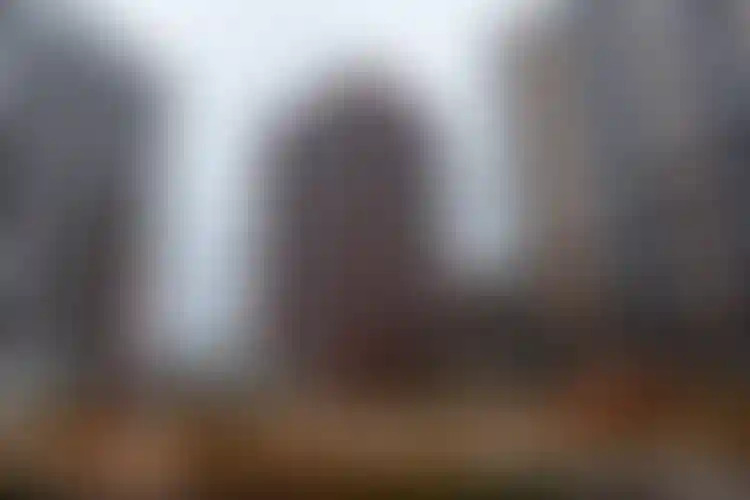 Изображение галереи