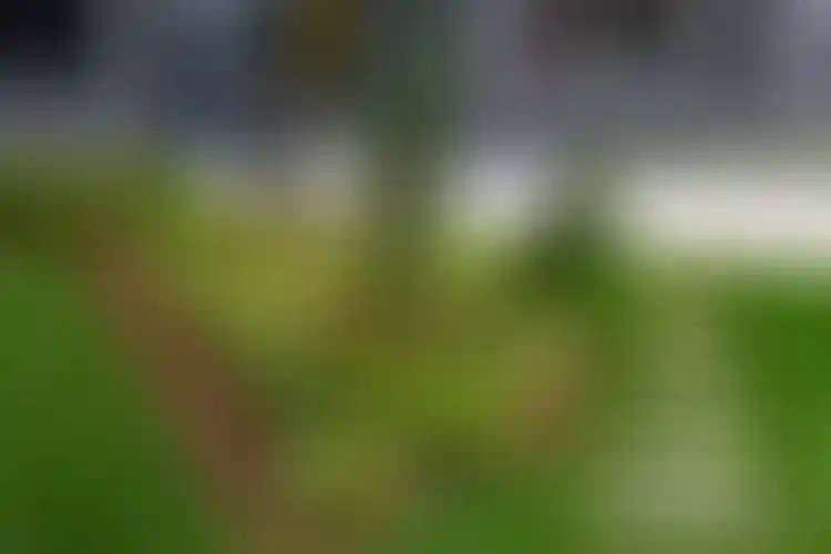 Изображение галереи