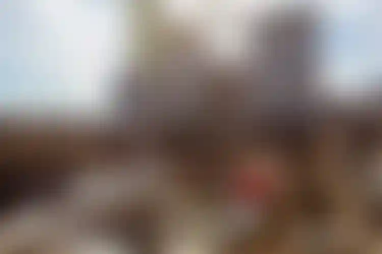 Изображение галереи