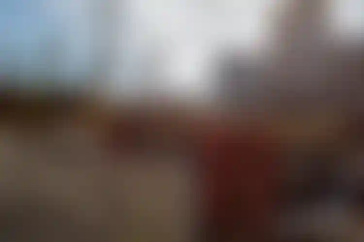 Изображение галереи