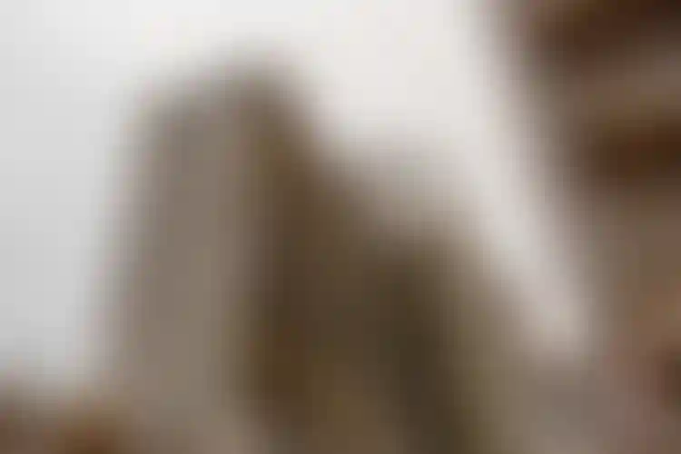 Изображение галереи