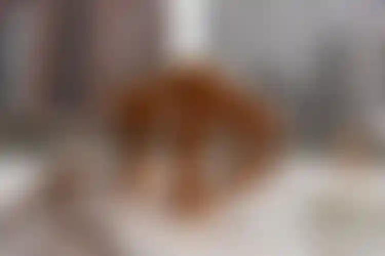 Изображение галереи