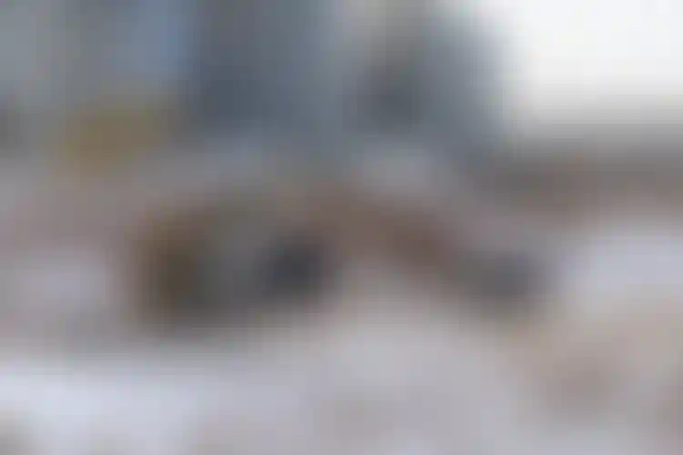 Изображение галереи