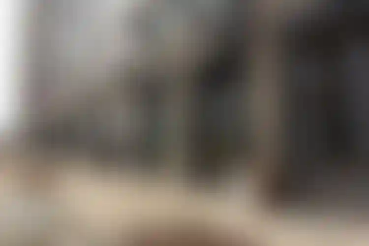 Изображение галереи