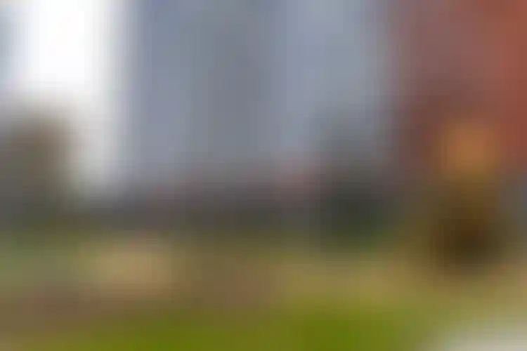 Изображение галереи