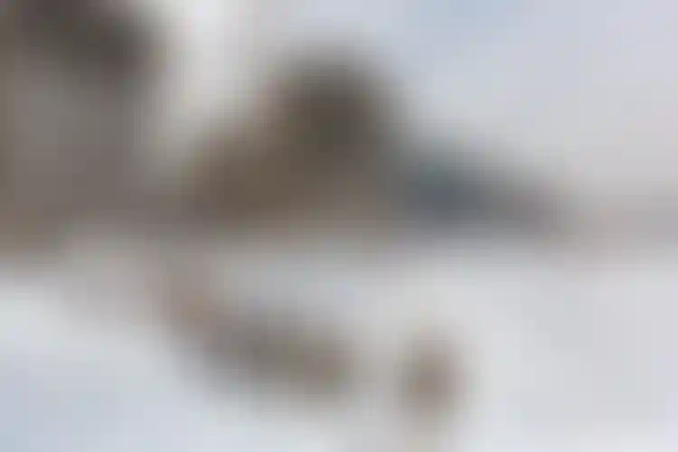 Изображение галереи