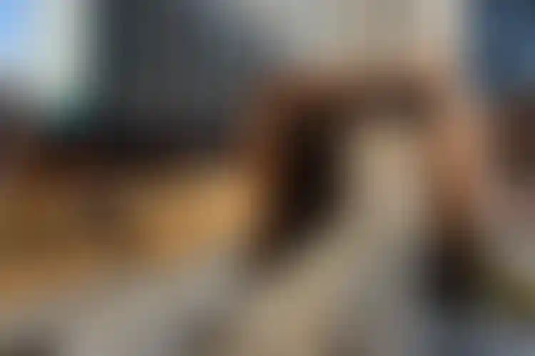 Изображение галереи