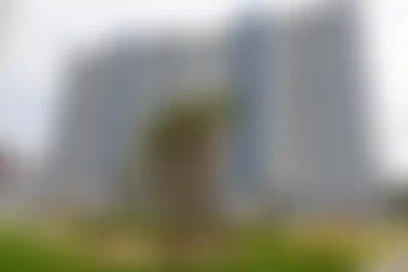 Изображение галереи