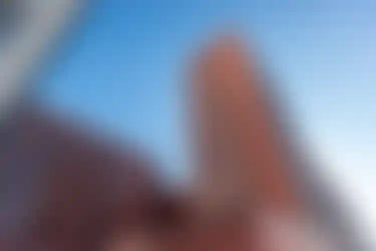 Изображение галереи