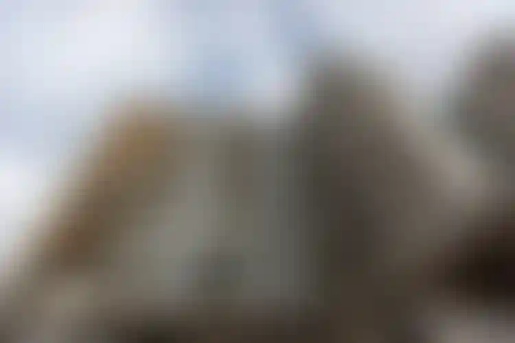 Изображение галереи