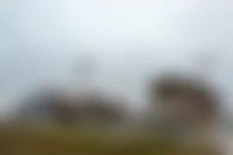 Изображение галереи