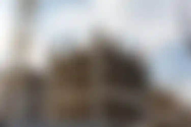 Изображение галереи