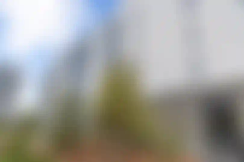 Изображение галереи